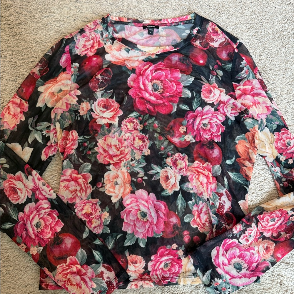 EXPRESS Floral Mesh Long Sleeve Top